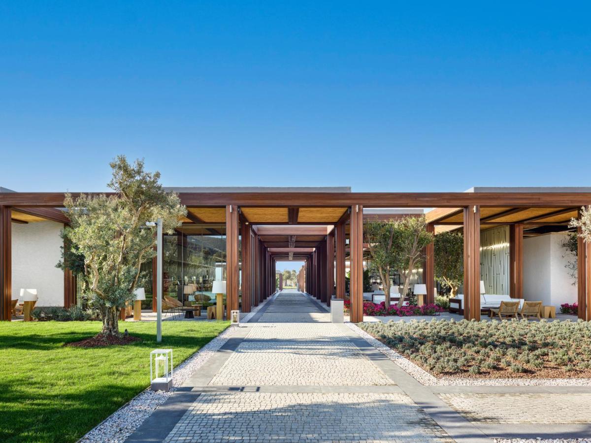 Voyage Complex Torba