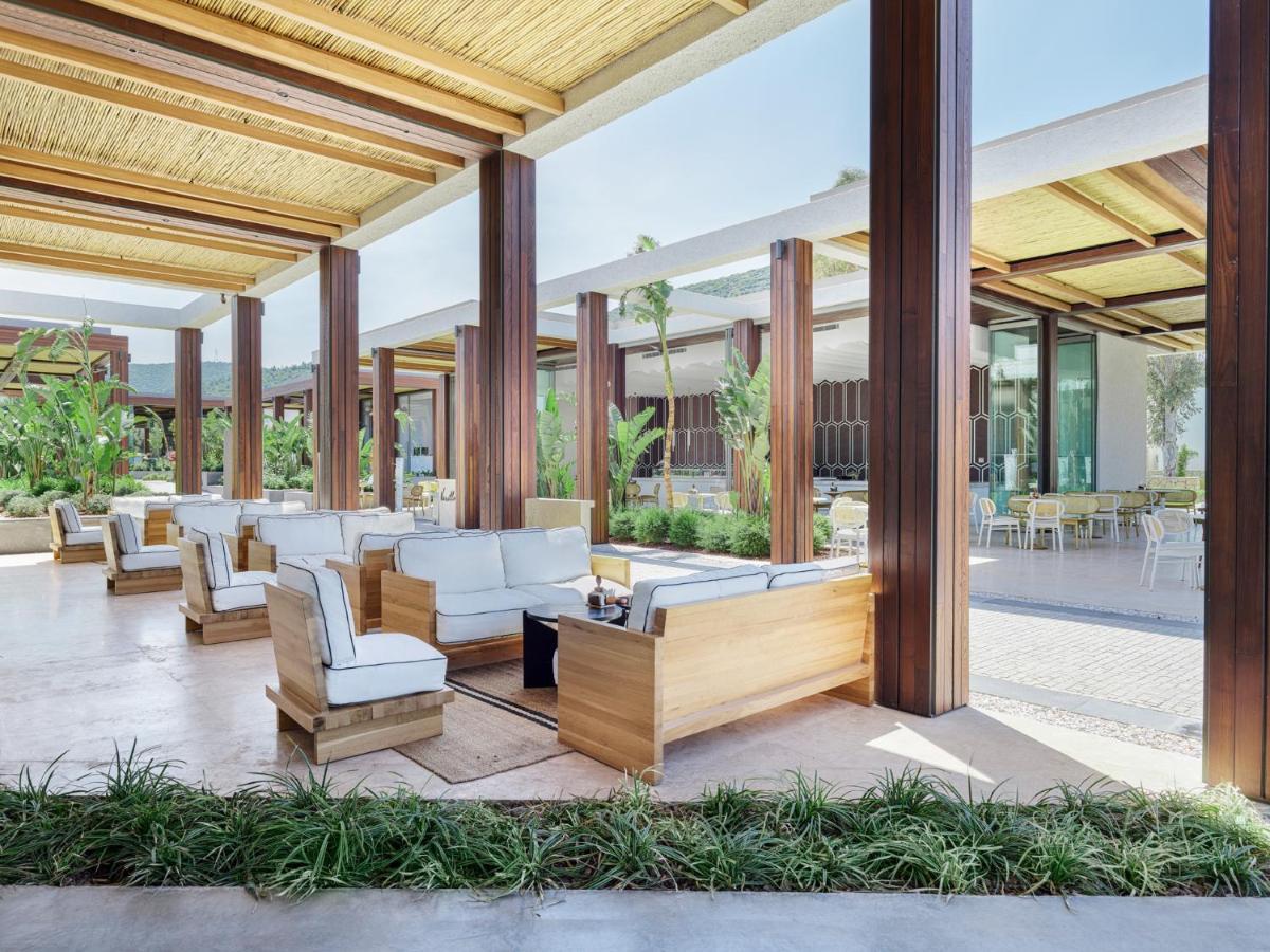 Voyage Complex Torba
